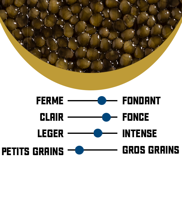 Caviar Baeri