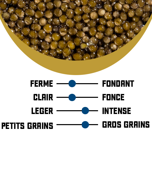 Caviar Osciètre