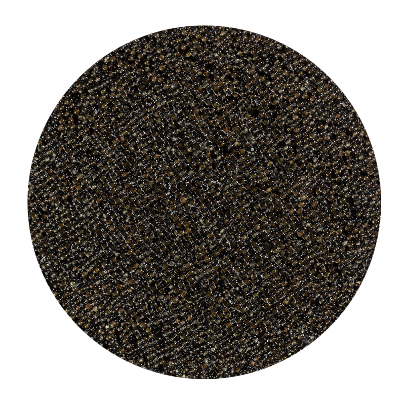 polyodon